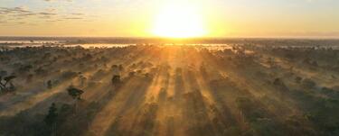 sunrise through mist over trees in Discovery National Park, Bahia, Prado, Brazil